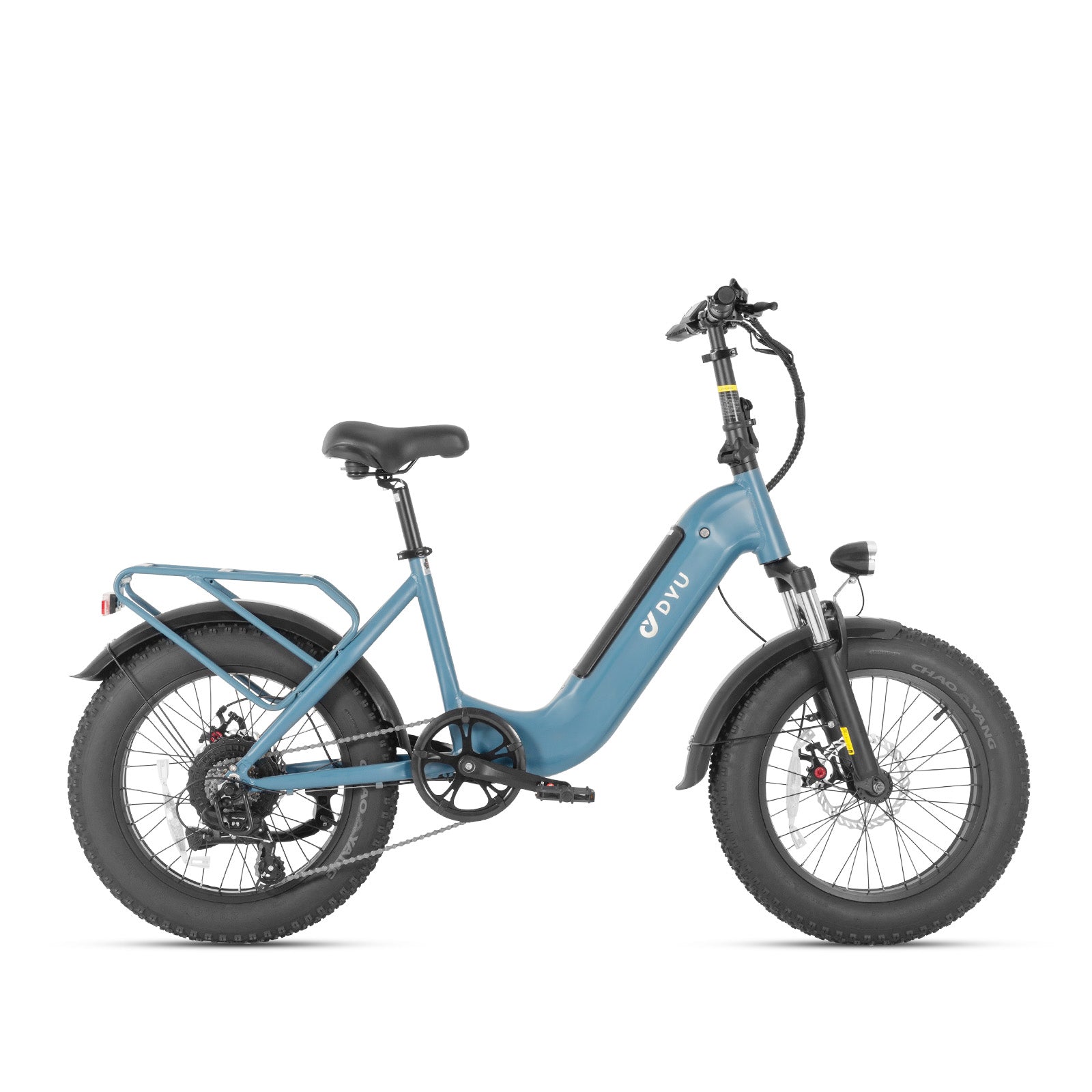 DYU FF500 Fat Tire E-Dviratis – 20 colių, 48V, Miestui ir Bekelei