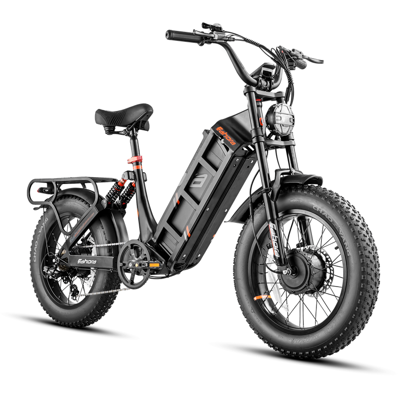 eAhora Juliet III – elektrinis dviratis 48V 60Ah, ilgo nuotolio modelis (iki 200 km)