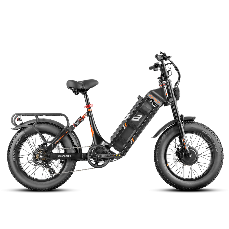 eAhora Juliet III – elektrinis dviratis 48V 60Ah, ilgo nuotolio modelis (iki 200 km)