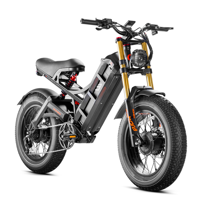 eAhora Romeo II – 52V 2500W Dual Motor E-Dviratis